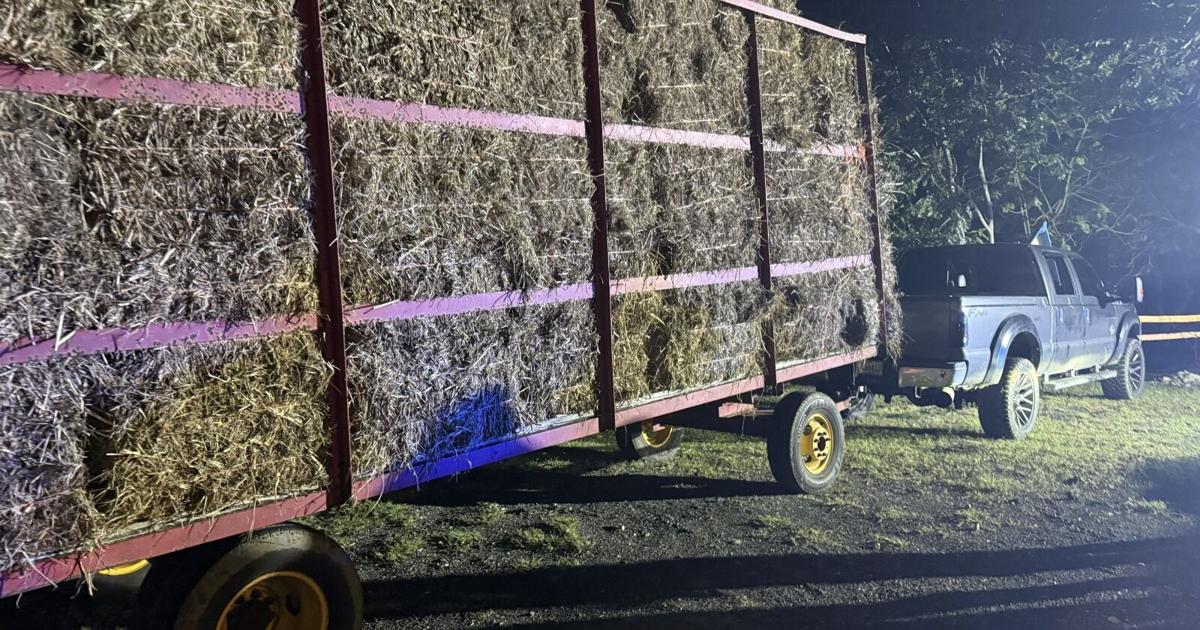 Arrestan a tres personas por robo de 400 pacas de heno en Barceloneta
