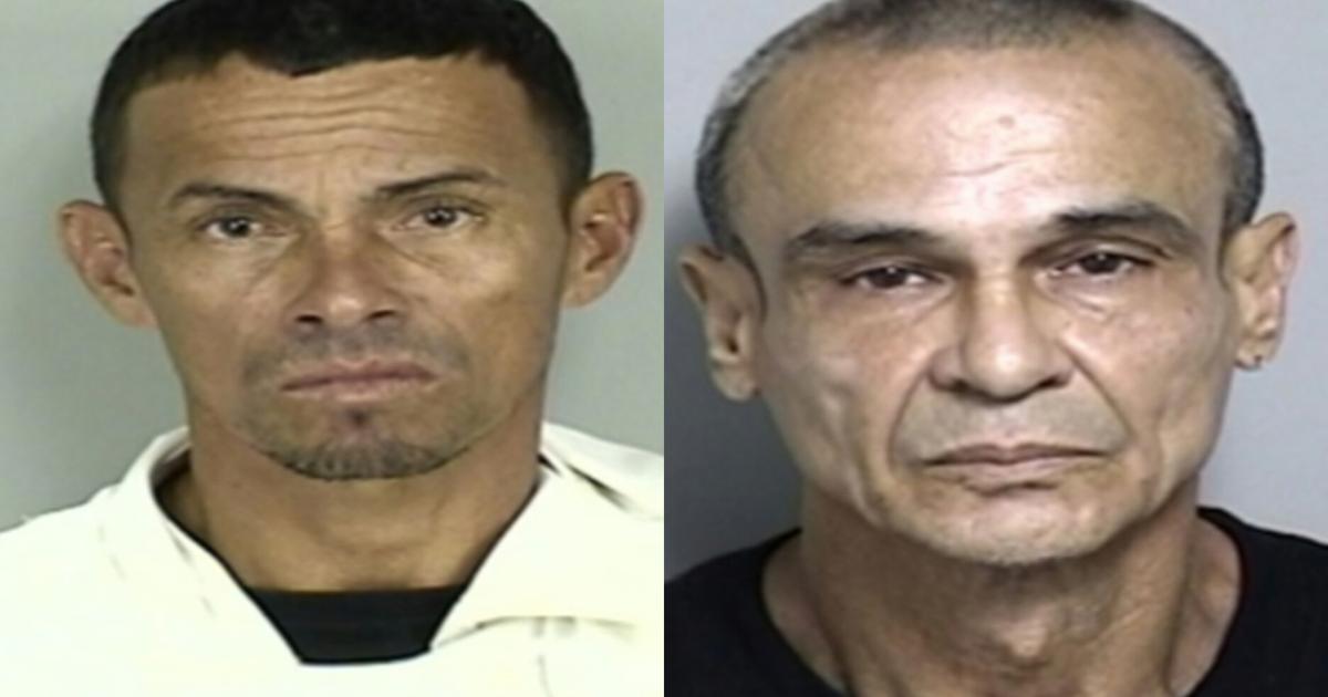 Encarcelan a dos hombres por asaltar y golpear a anciana de 76 años en Toa Baja