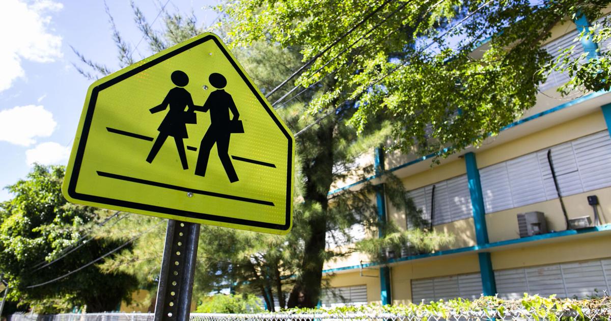Comité Timón advierte que reorganización de Educación ignora necesidades de estudiantes con discapacidad