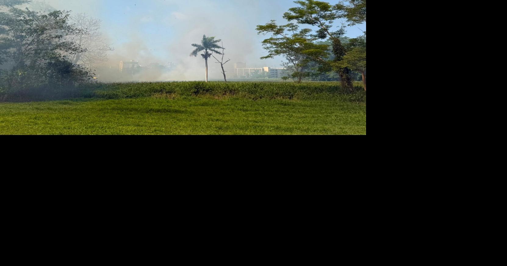 Dos incendios forestales afectan más de 40 cuerdas del Jardín Botánico de la UPR