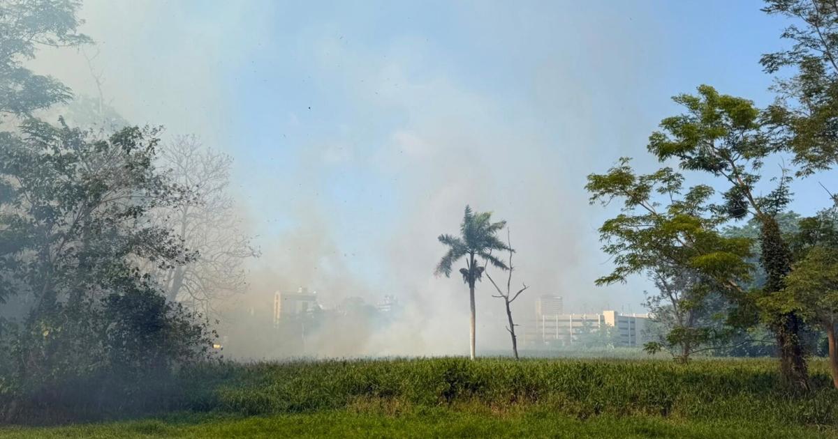 Dos incendios forestales afectan más de 40 cuerdas del Jardín Botánico de la UPR