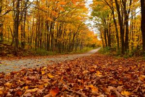 Imagen de la cobertura de: Comienza el otoño en Puerto Rico con la llegada del equinoccio de septiembre