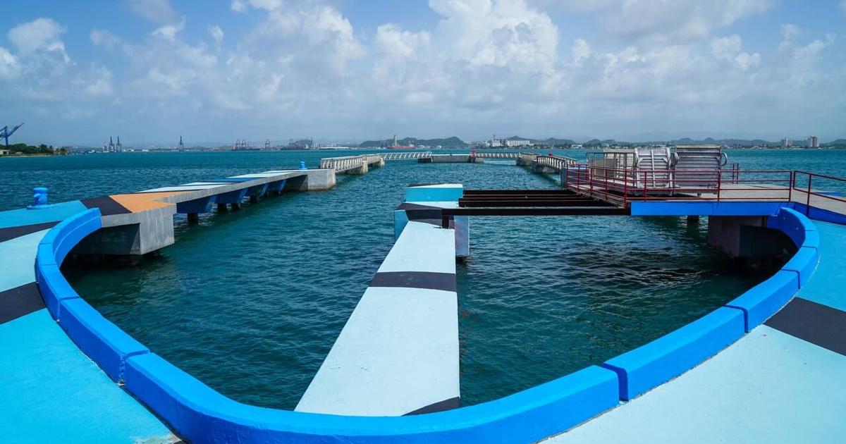 Trabajan para abrir muelle de San Juan | Gobierno | elvocero.com