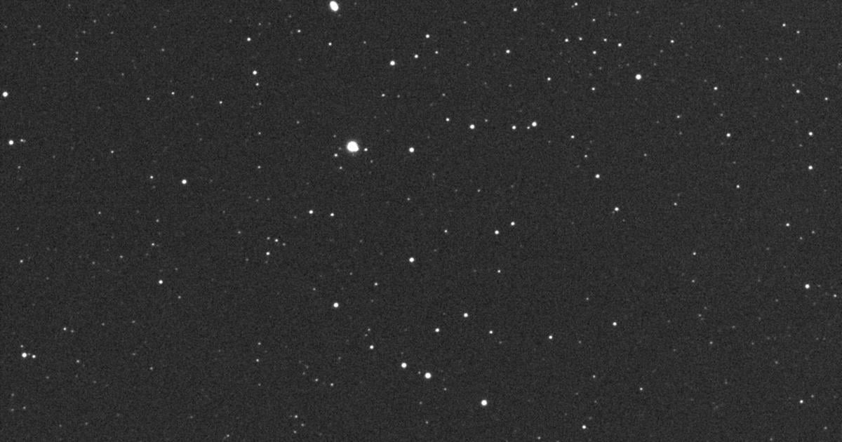 Astrofotógrafos de Puerto Rico capturan el mayor asteroide del año en su paso por la Tierra