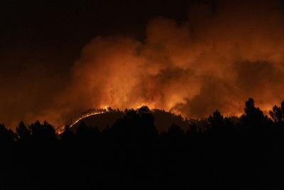 Incendios forestales continúan expandiéndose en México
