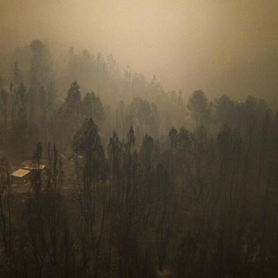 Aumentan a 24 las muertes por incendios forestales en Chile