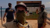 Loíza inicia proyecto ecológico de restauración de dunas de arena
