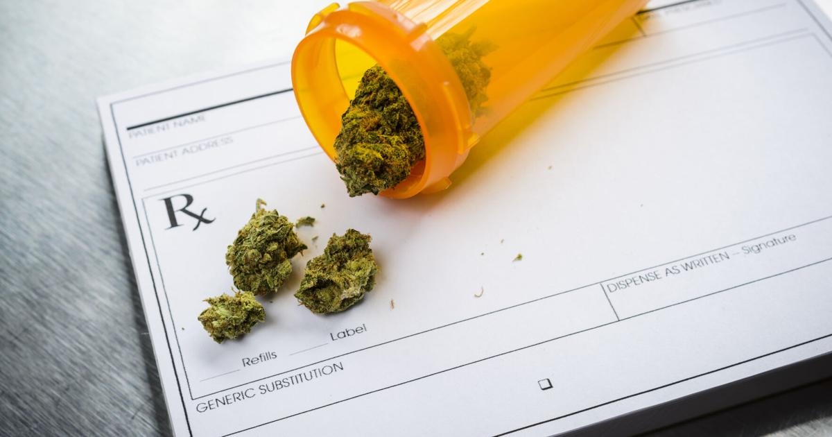 Evalúan impacto local tras reclasificación del cannabis
