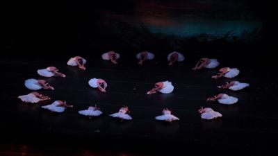 Ballet Concierto celebra 45 años con El Lago de los Cisnes