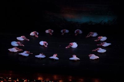 Ballet Concierto celebra 45 años con El Lago de los Cisnes