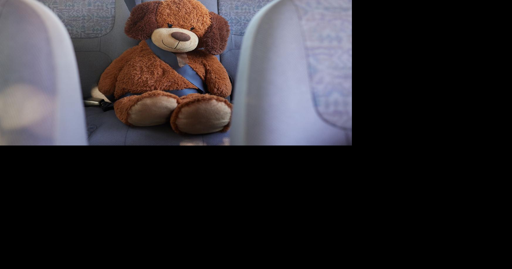 Arrestan a hombre que presuntamente colocó rastreador en peluche de su hijo en Bayamón