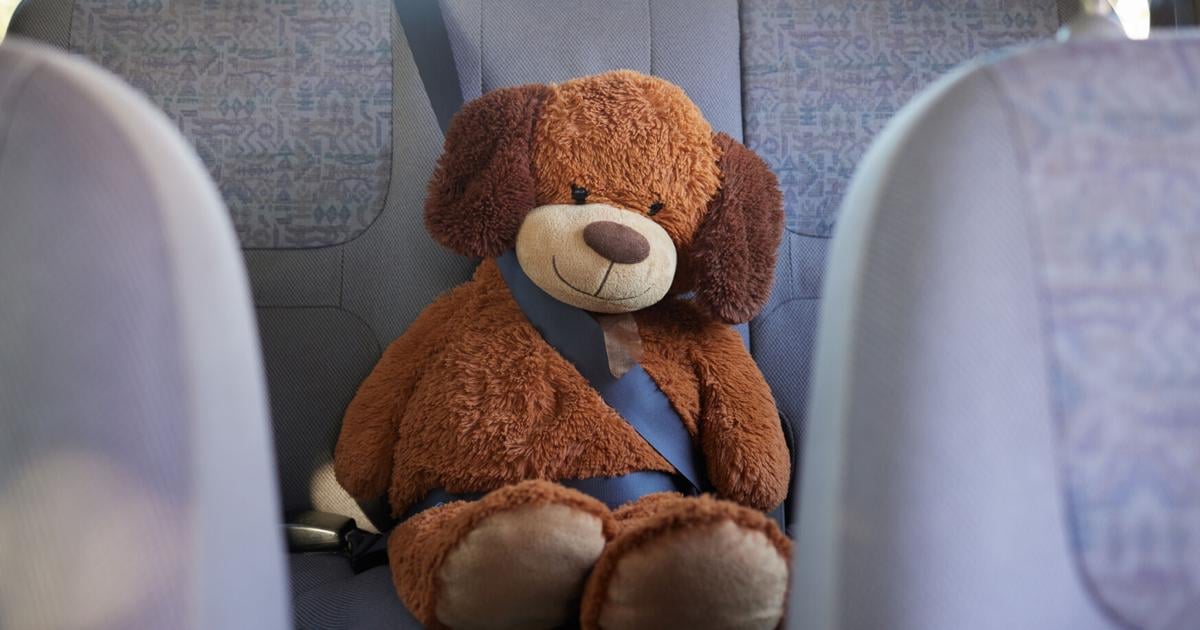 Arrestan a hombre que presuntamente colocó rastreador en peluche de su hijo en Bayamón