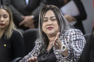 Imagen del artículo de El Vocero: PFEI amplía pesquisa contra Ciary Pérez Peña para incluir a su padre en controversia por venta de marbetes