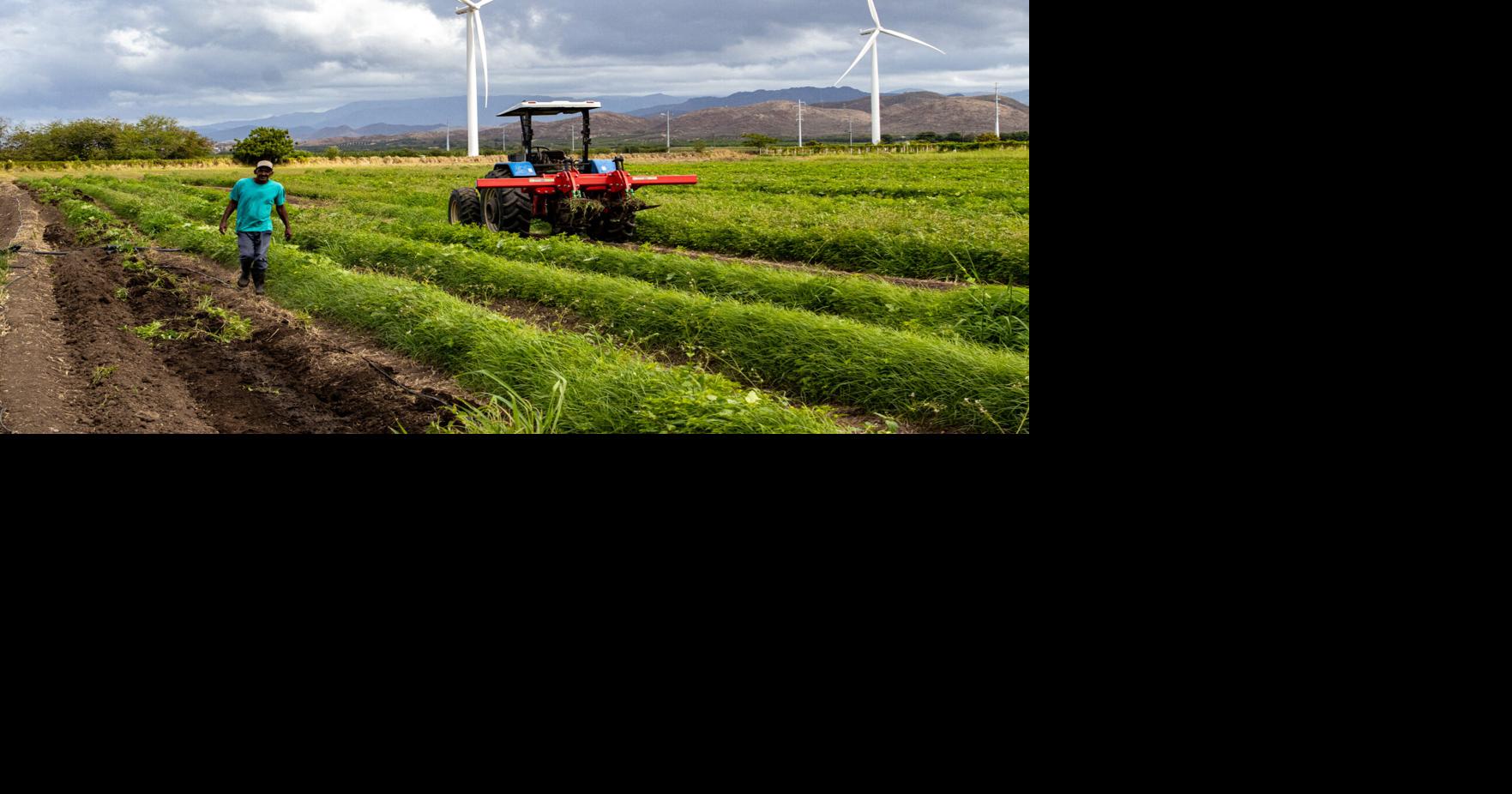 UPR recibe $100,000 para fortalecer protección de tierras agrícolas en Puerto Rico