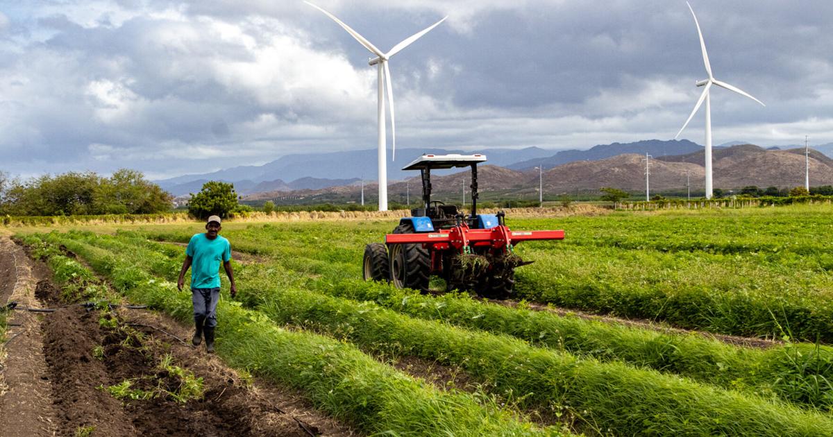 UPR recibe $100,000 para fortalecer protección de tierras agrícolas en Puerto Rico