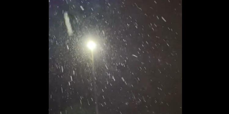 Nieve en Florida: hacía 4 años que no se daba el fenómeno en ese estado 61d830a6b78d6.image