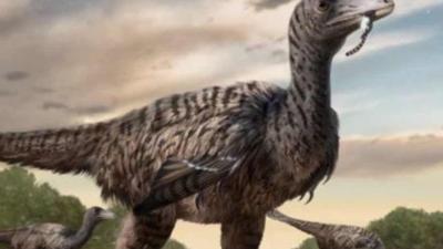 Descubren huellas de un velociraptor de cinco metros en China