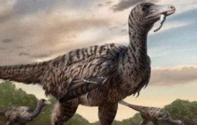 Descubren huellas de un velociraptor de cinco metros en China
