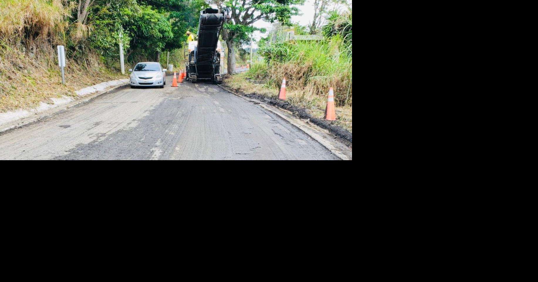 Caída de árbol cierra tramo de la PR-15 en Guayama