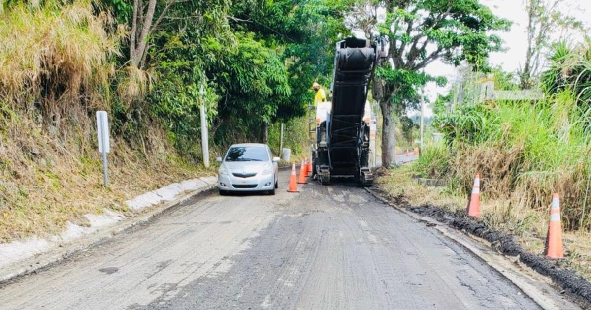 Caída de árbol cierra tramo de la PR-15 en Guayama