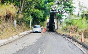 Imagen del artículo de El Vocero: Cierran tramo de la PR-15 en Guayama por caída de árbol