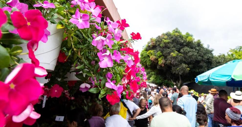 Festivales y fiestas patronales animarán varios municipios de Puerto Rico este fin de semana