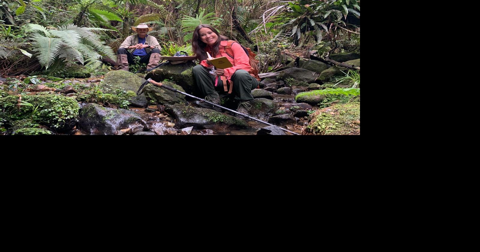 [POR SI TE LO PERDISTE]