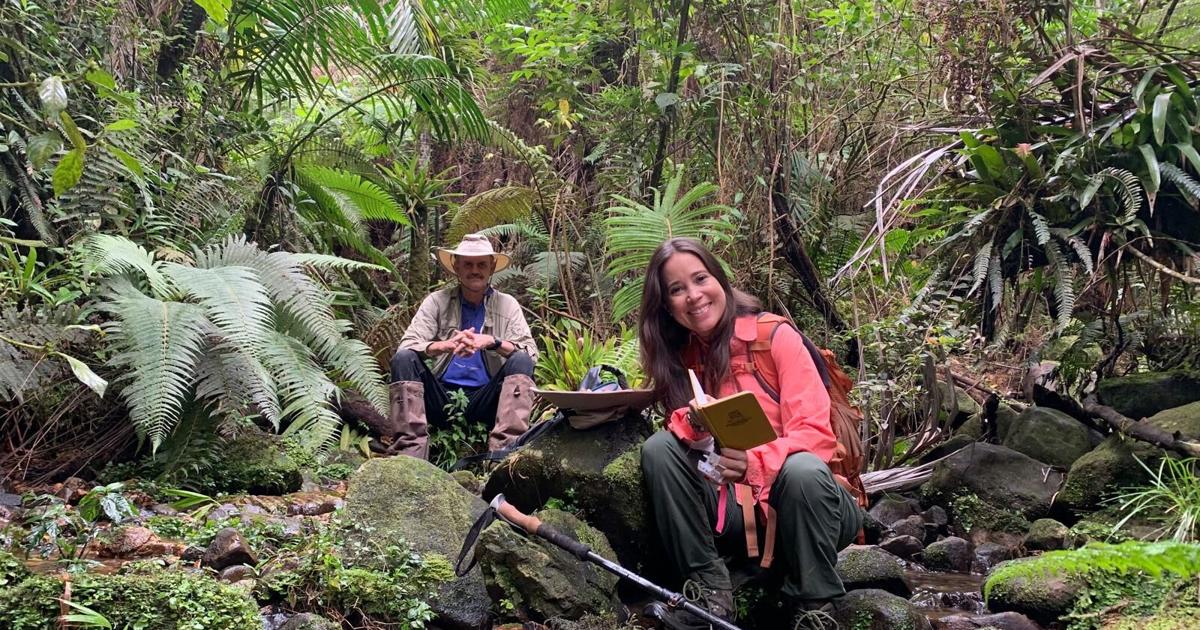 Más de 100 especies de plantas de Puerto Rico son resguardadas en banco global de semillas