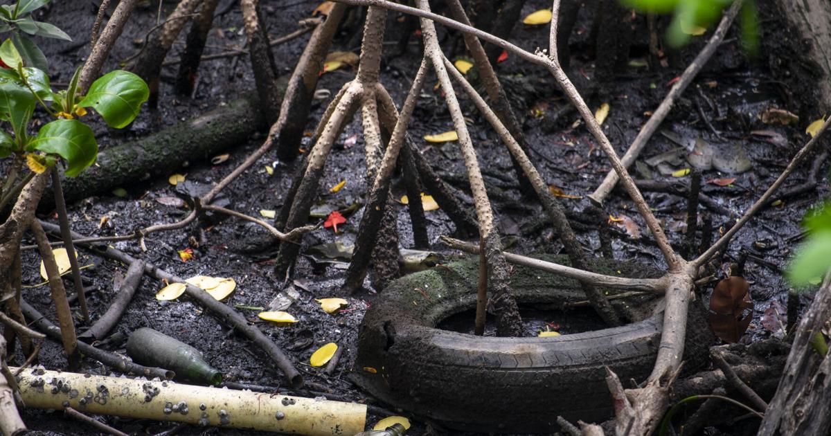 EPA asigna $2 millones a cuatro municipios de Puerto Rico para limpiar terrenos contaminados