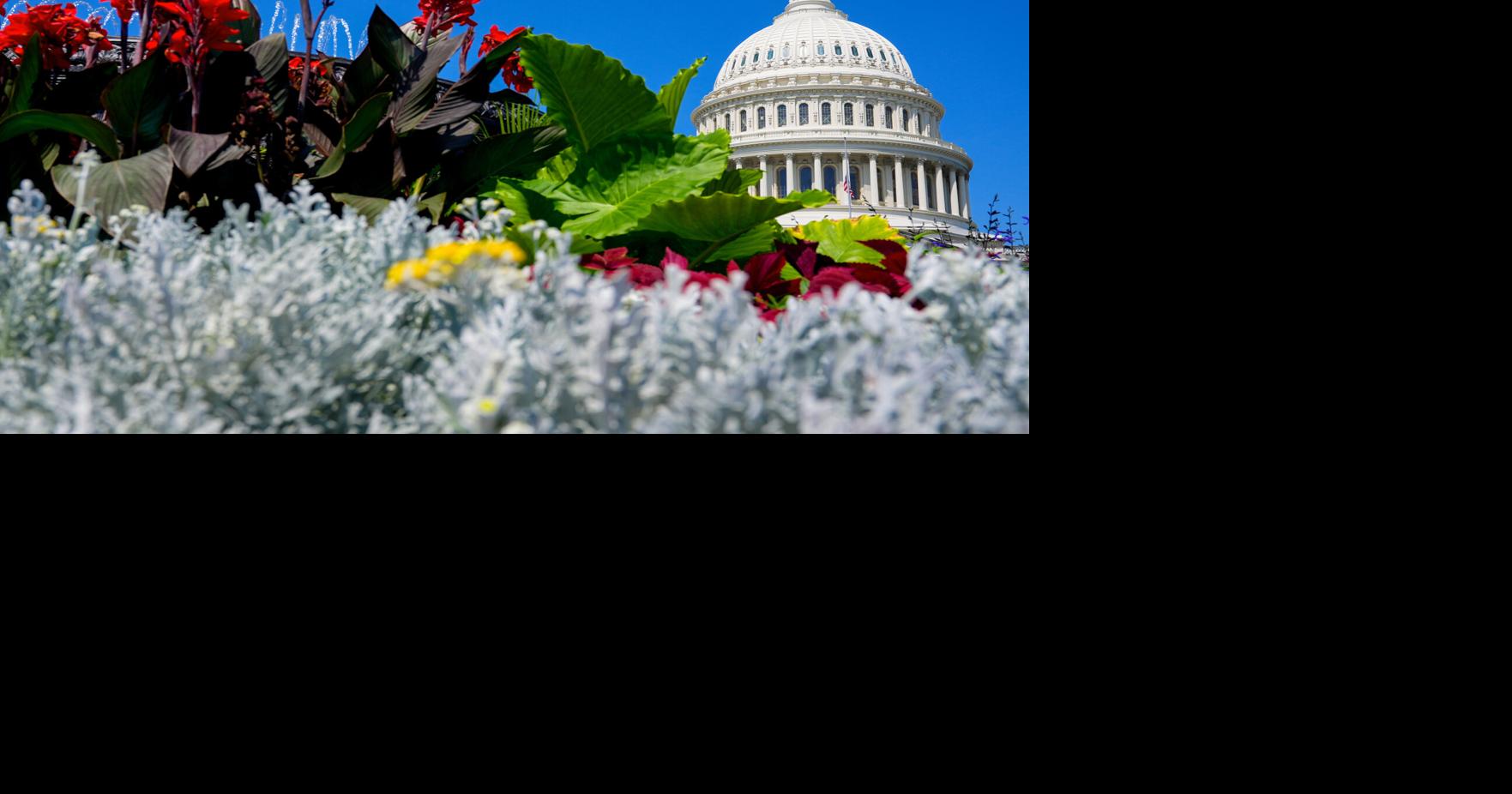 Puerto Rico trabaja en Washington para evitar precipicio fiscal de Medicaid en 2027