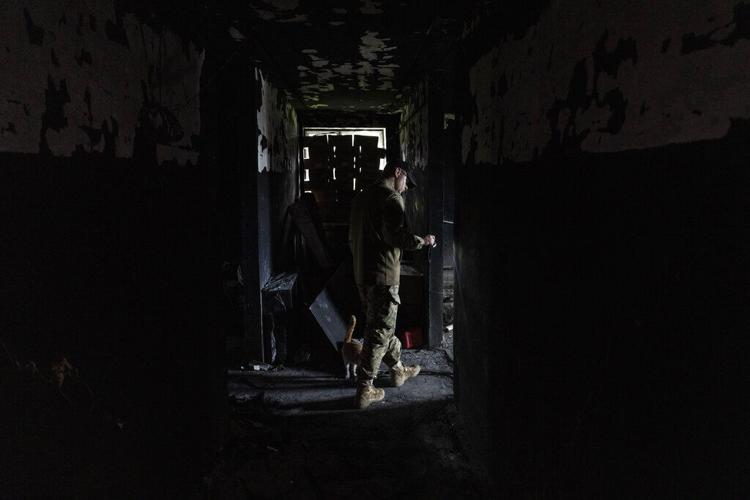Guerra en Ucrania: Mariúpol esta cerca de caer en manos del Ejército ruso 62840bb588497.image