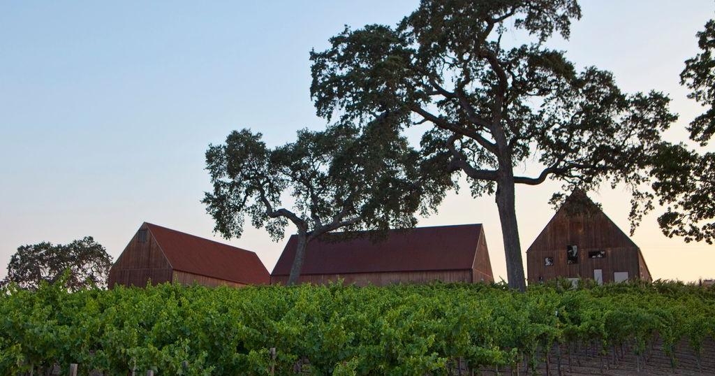 Austin Hope Wines cuenta con más de seis etiquetas elaboradas en Paso Robles, en California.