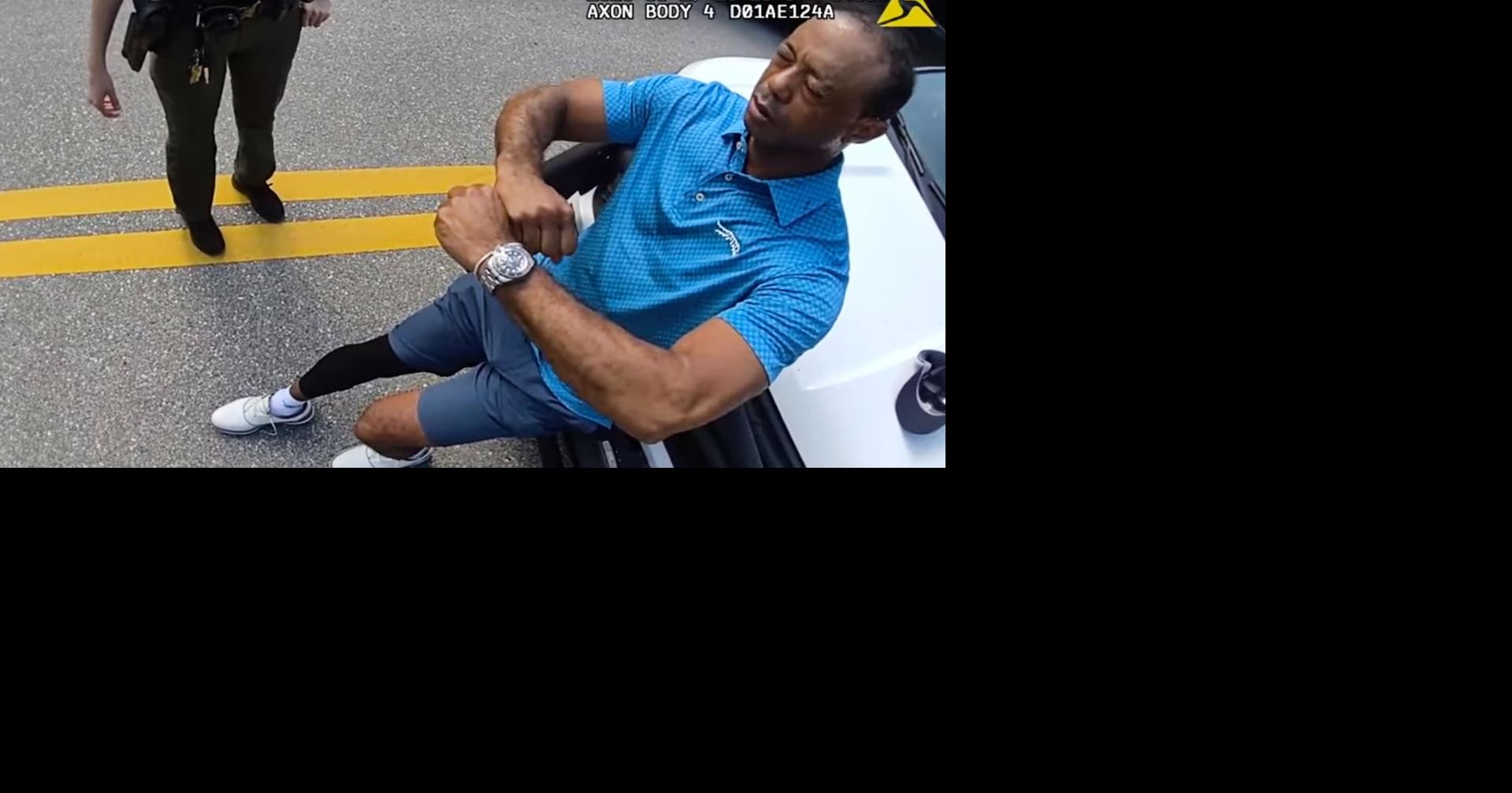 | Mira el momento aquí.