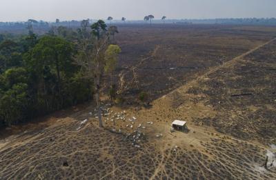 Brazil Climate Brazil Deforestation