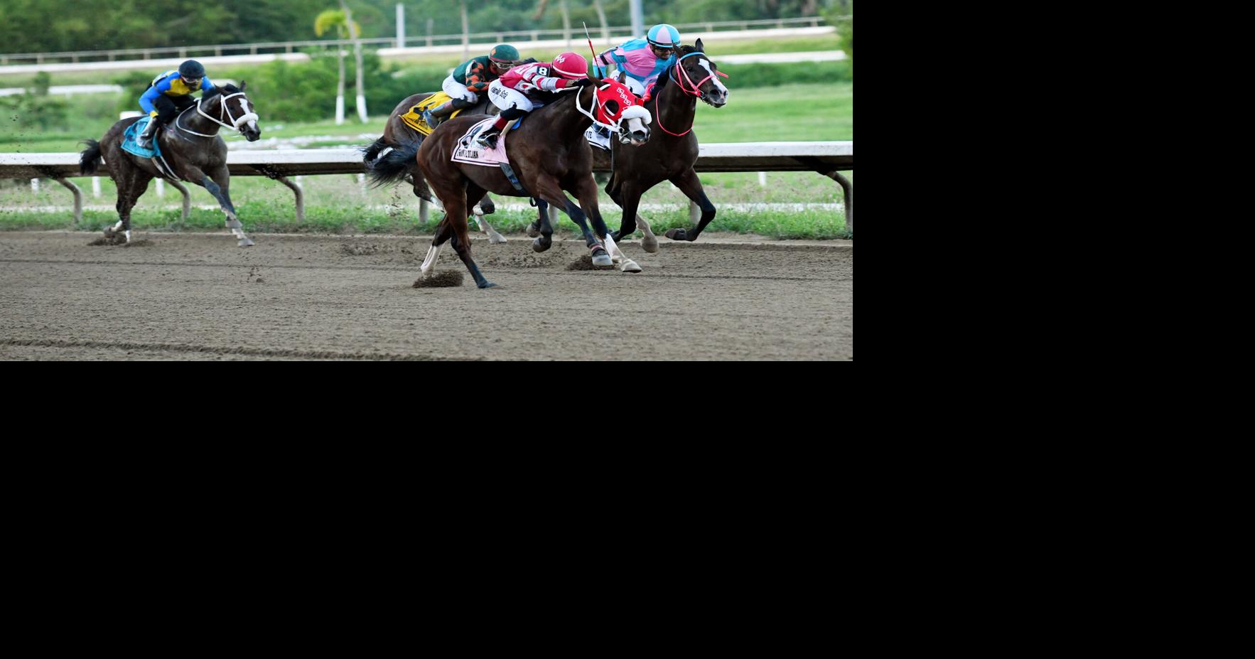 Príncipe Delián gana la edición 94 del Puerto Rico Futurity en Camarero