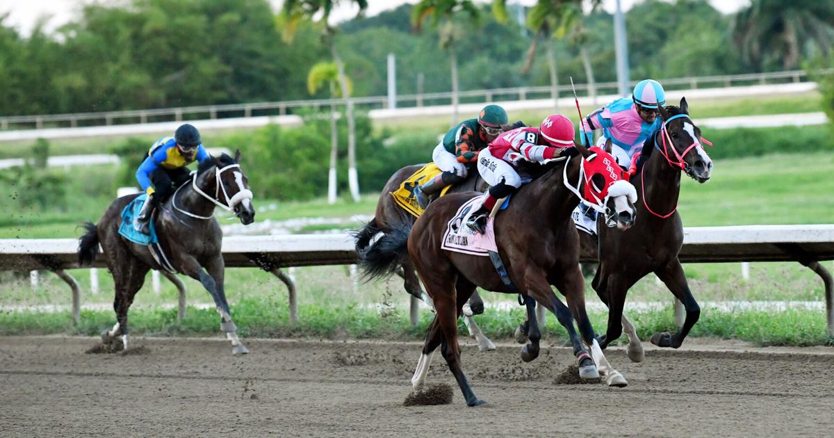 Príncipe Delián gana la edición 94 del Puerto Rico Futurity en Camarero