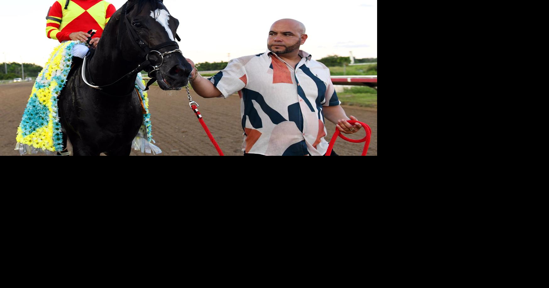 Padre Poderoso lidera campo de siete en la sexta carrera del hipódromo Camarero
