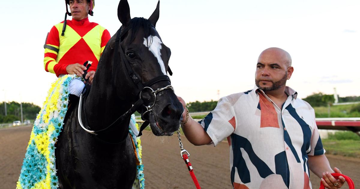 Padre Poderoso lidera campo de siete en la sexta carrera del hipódromo Camarero