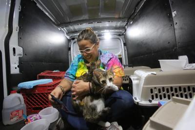8M: una mujer boricua transforma vidas humanas ayudando a los animales sin hogar