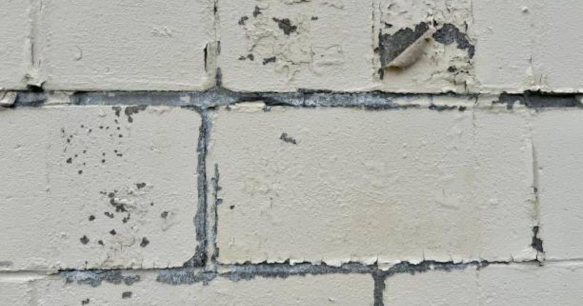 Semana Internacional alerta sobre riesgos del plomo en el hogar para niños