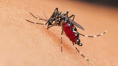 Brasil bate su récord de casos de dengue al superar los cuatro millones