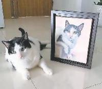 Retratos con sentimientos