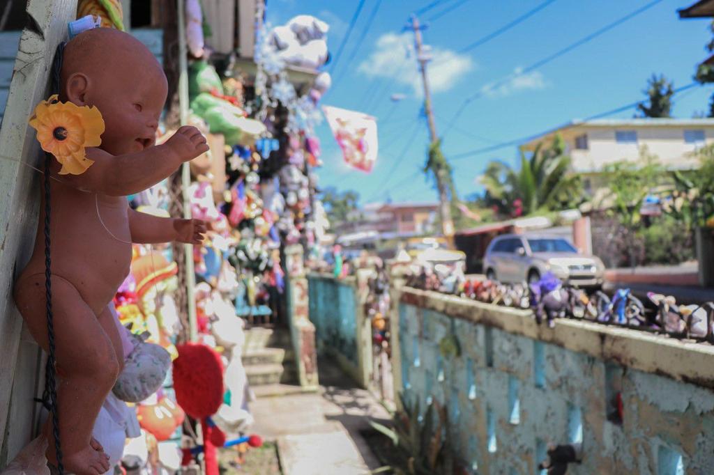 La Casa De Los Peluches Actualidad Elvocero Com