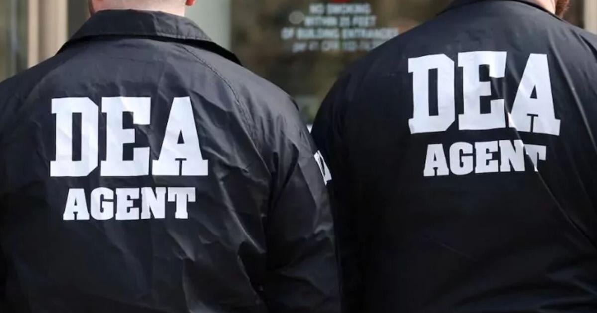 DEA y Policía ejecutan operativo contra organización criminal en el sur de Puerto Rico