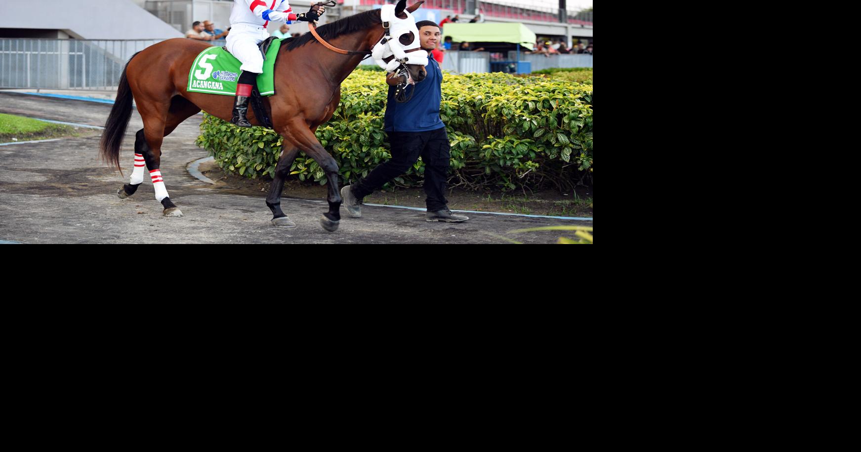 Acángana y Sra. Bon destacan en carrera de dosañeras en el hipódromo Camarero