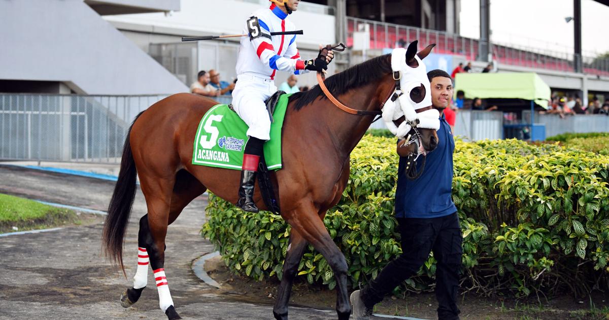 Acángana y Sra. Bon destacan en carrera de dosañeras en el hipódromo Camarero