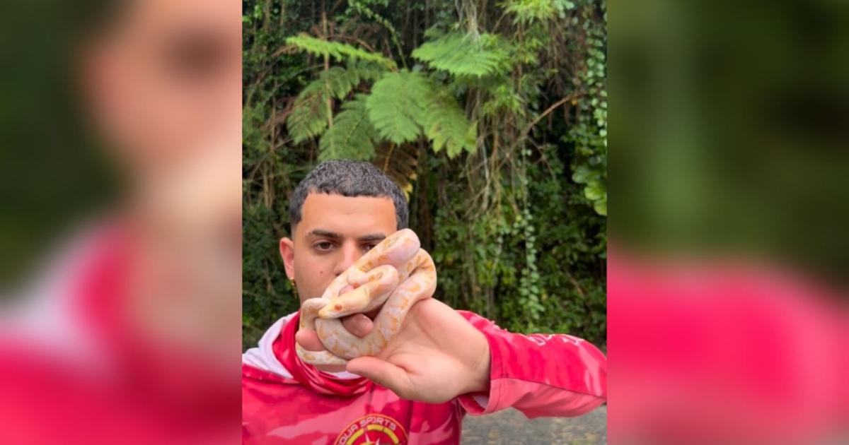 "Gongo" advierte sobre inicio temprano de la temporada de neonatos en Puerto Rico