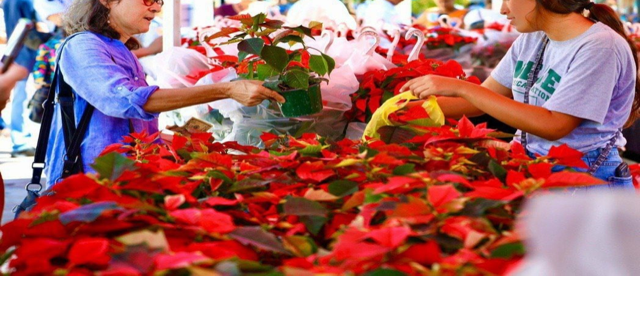Festival de Pascuas de Puerto Rico celebra novena edición
