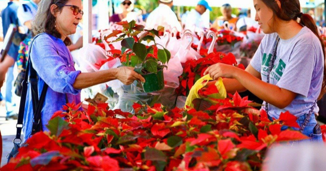 Festival de Pascuas de Puerto Rico celebra novena edición