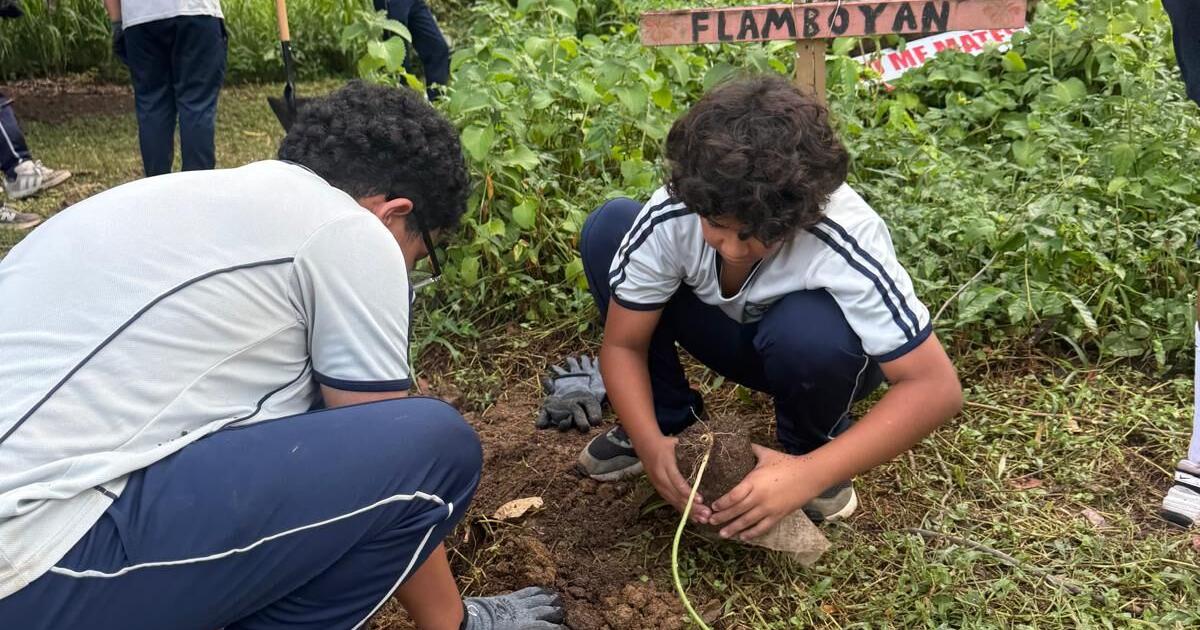 Niños siembran futuro en el río Piedras con jardín de polinizadores
